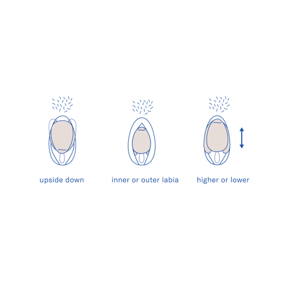 Dame Products Eva II Hands-Free Clitoral Vibrator | Ellen Terrie Ellen Terrie Dame Products Eva II Hands-Free Clitoral Vibrator | Ellen Terrie Ellen Terrie